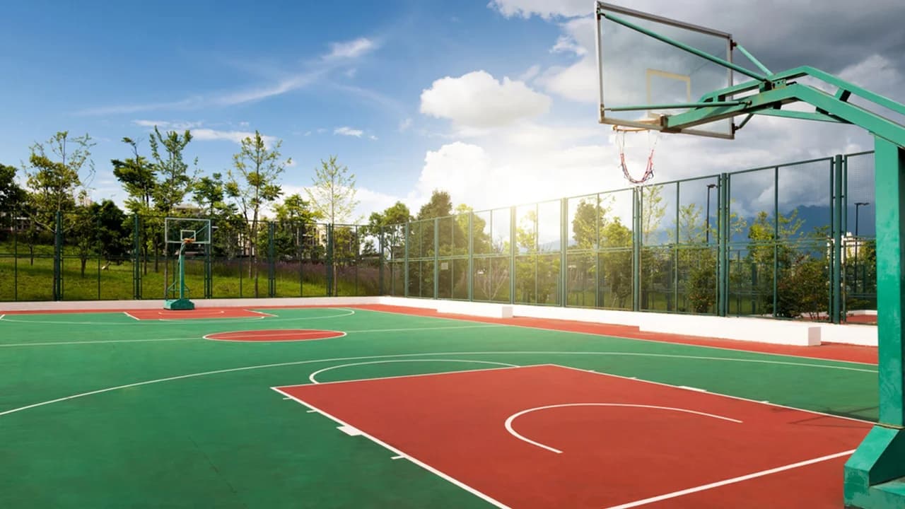 Basketball Court
