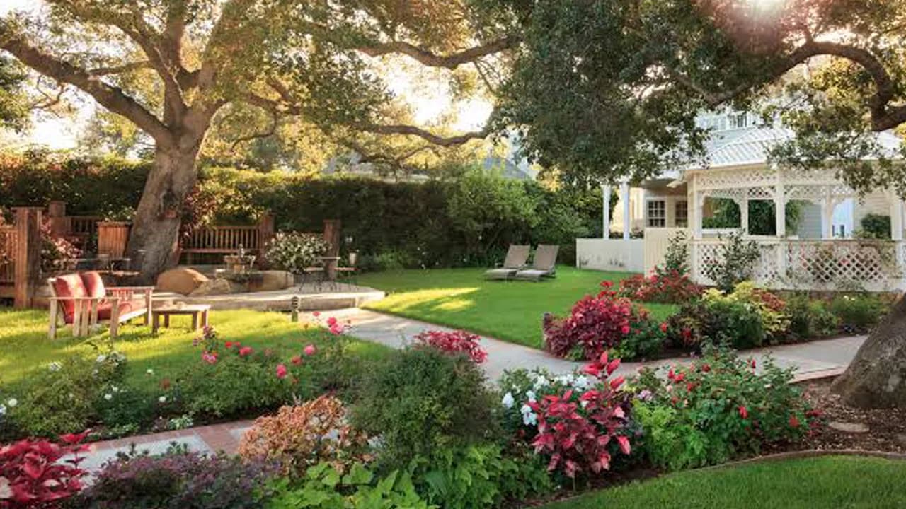 Verdant Garden Seating Surrounded by Lush Trees